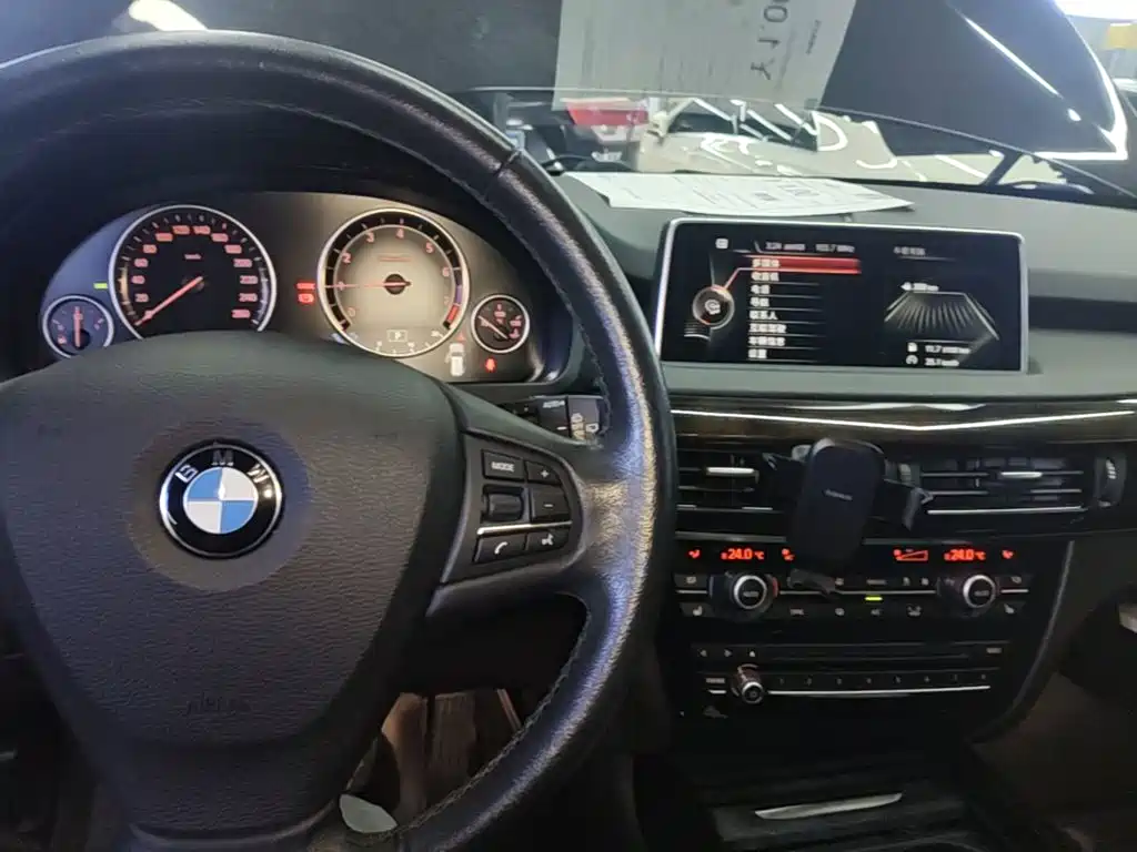 BMW X5 (Import) — миниатюра 10
