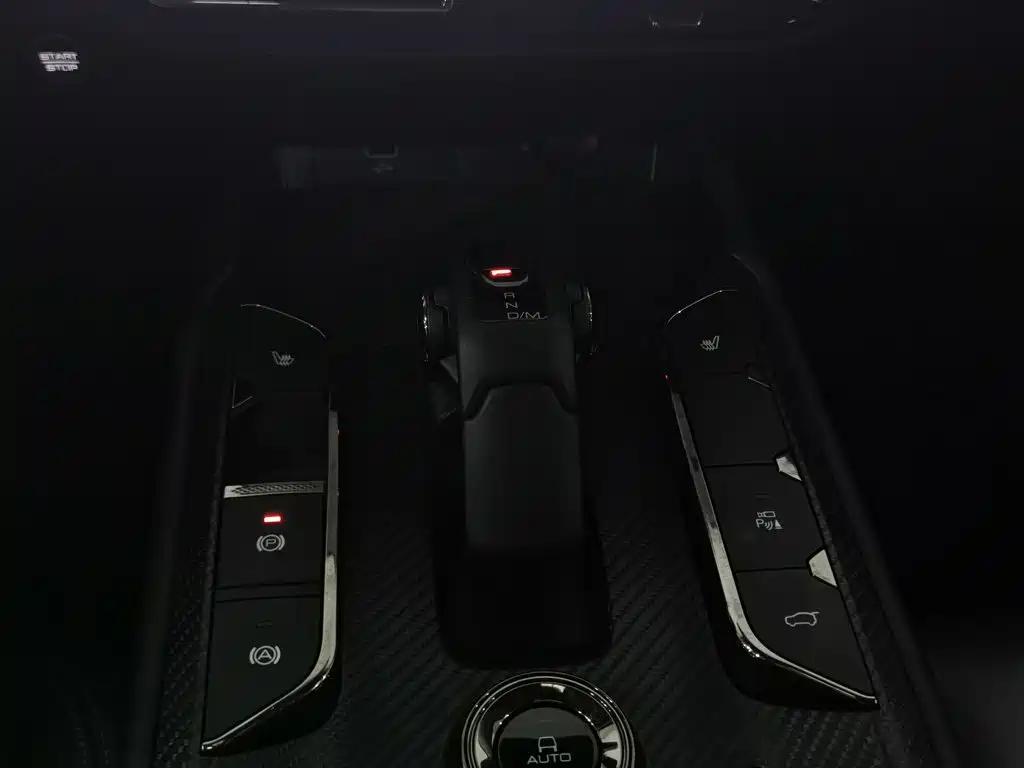 Haval Big Dog PLUS — миниатюра 13