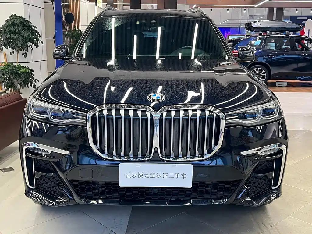 BMW X7 — миниатюра 2