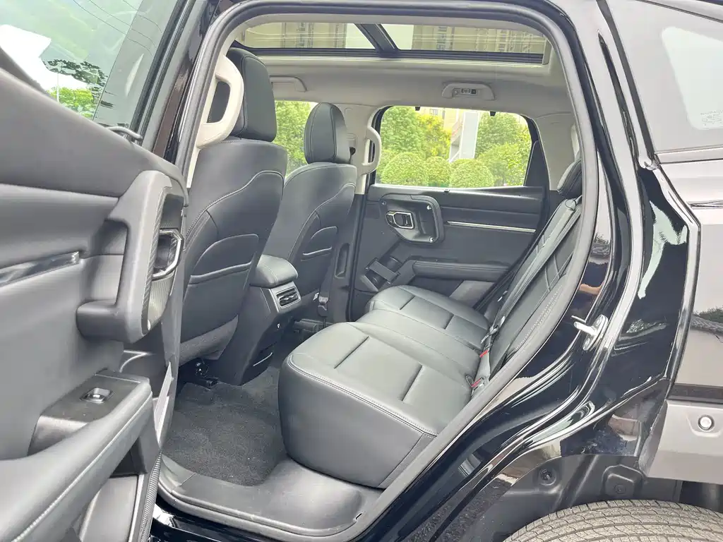 Haval Big Dog PLUS — миниатюра 9