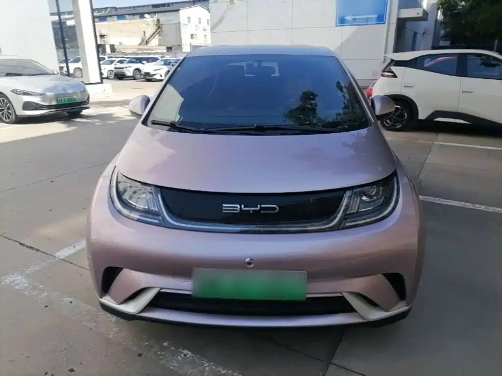 BYD Dolphin — миниатюра 3
