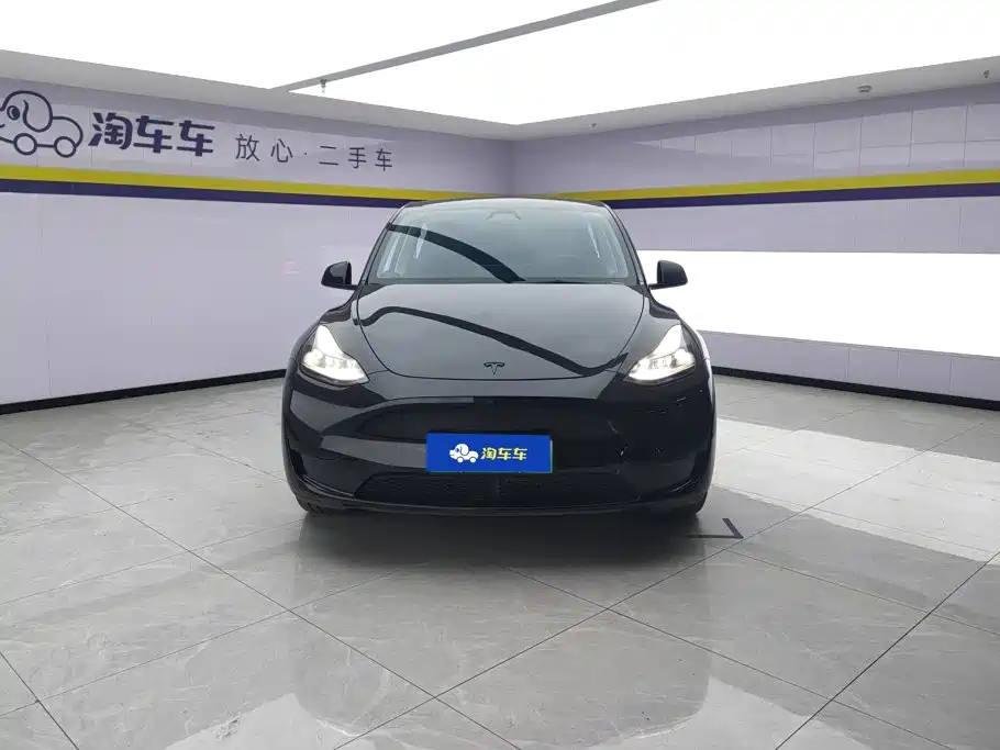 Tesla Model Y — миниатюра 2