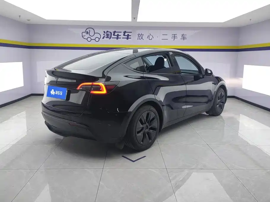 Tesla Model Y — миниатюра 3