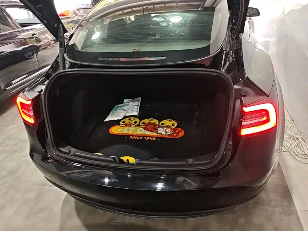 Tesla Model 3 — миниатюра 19