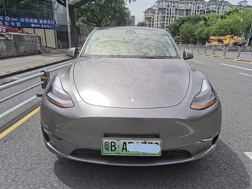 Tesla Model Y — миниатюра 2