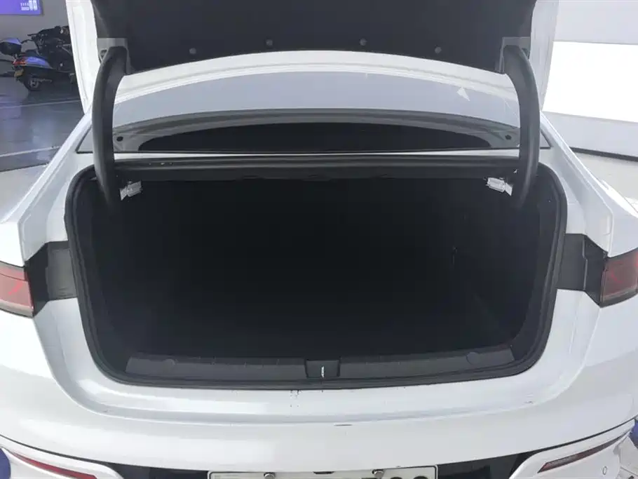 BYD Qin Plus PLUS 2024 DM-i 55KM Lead