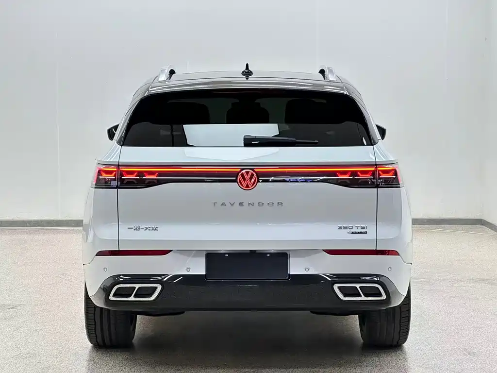 Volkswagen Tavendor — миниатюра 5