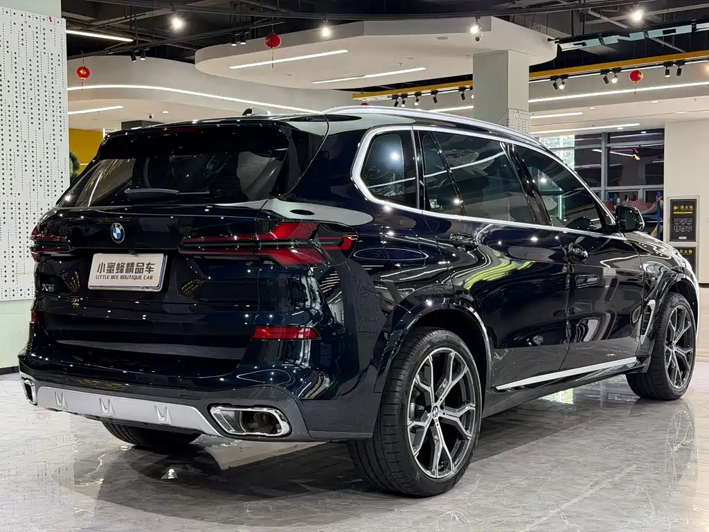 BMW X5 — миниатюра 17