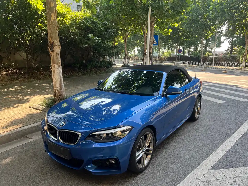BMW 2 Series 2 2018 225i Premium M Sport