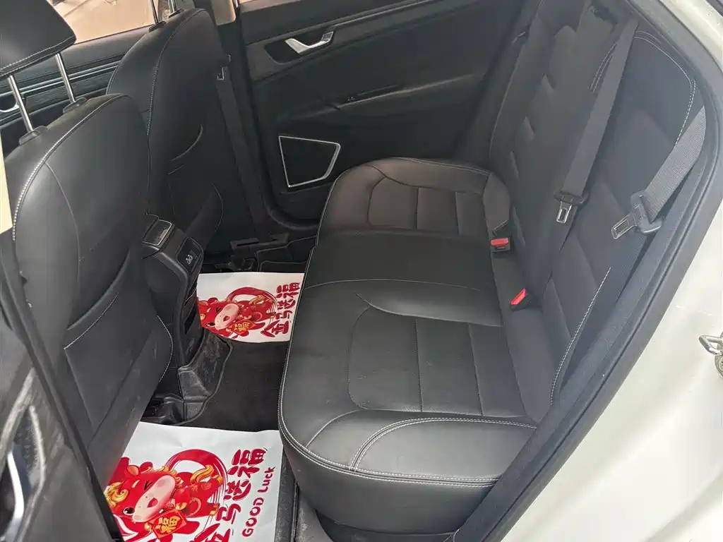 GEELY AUTOMOBILE EMGRAND GS