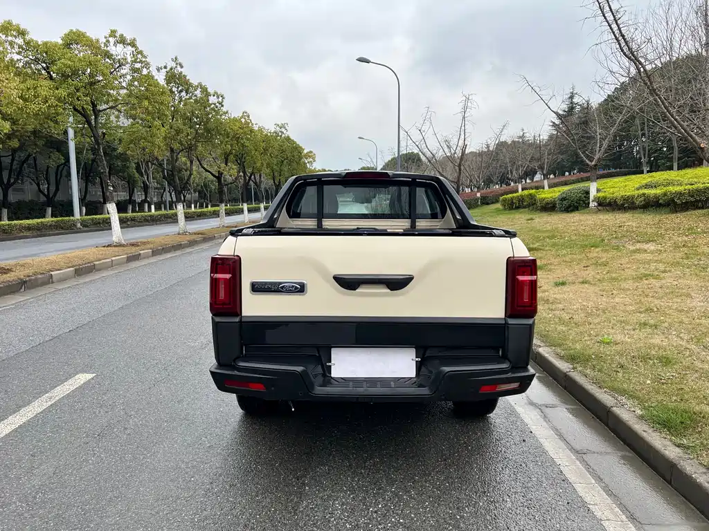 JIANGLING DOMAIN TIGER 9