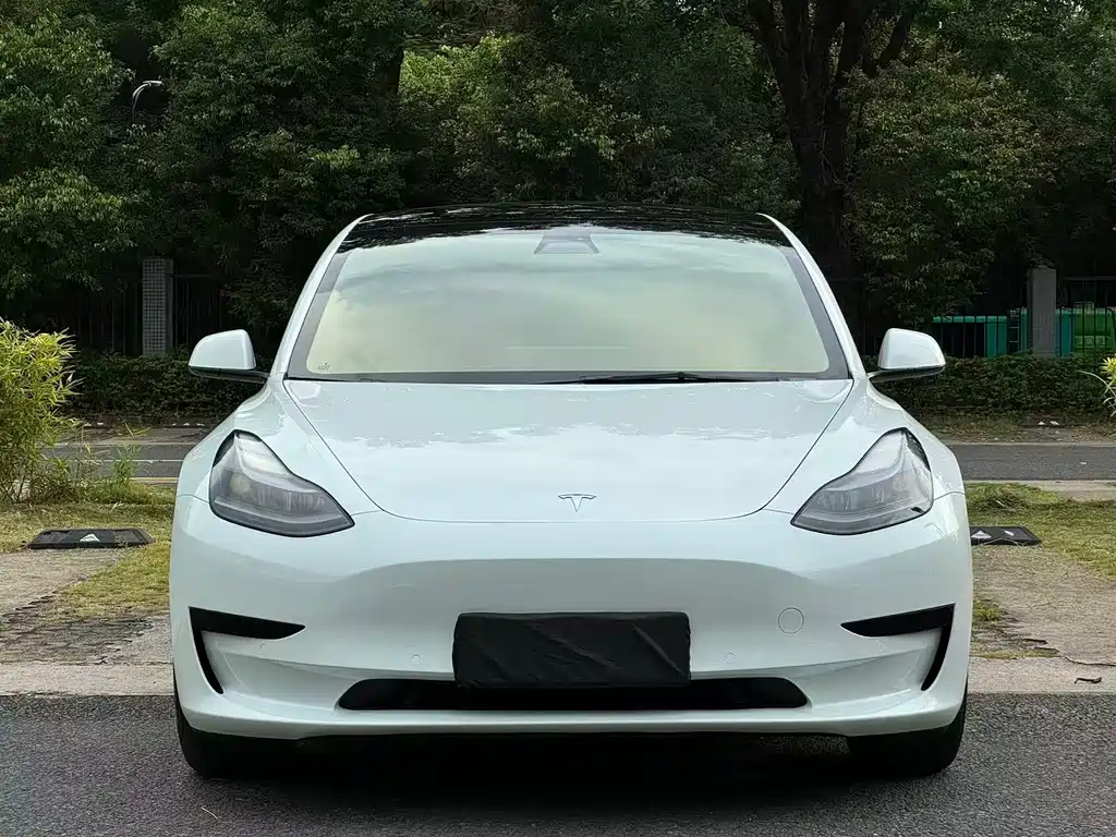 Tesla Model 3 — миниатюра 2