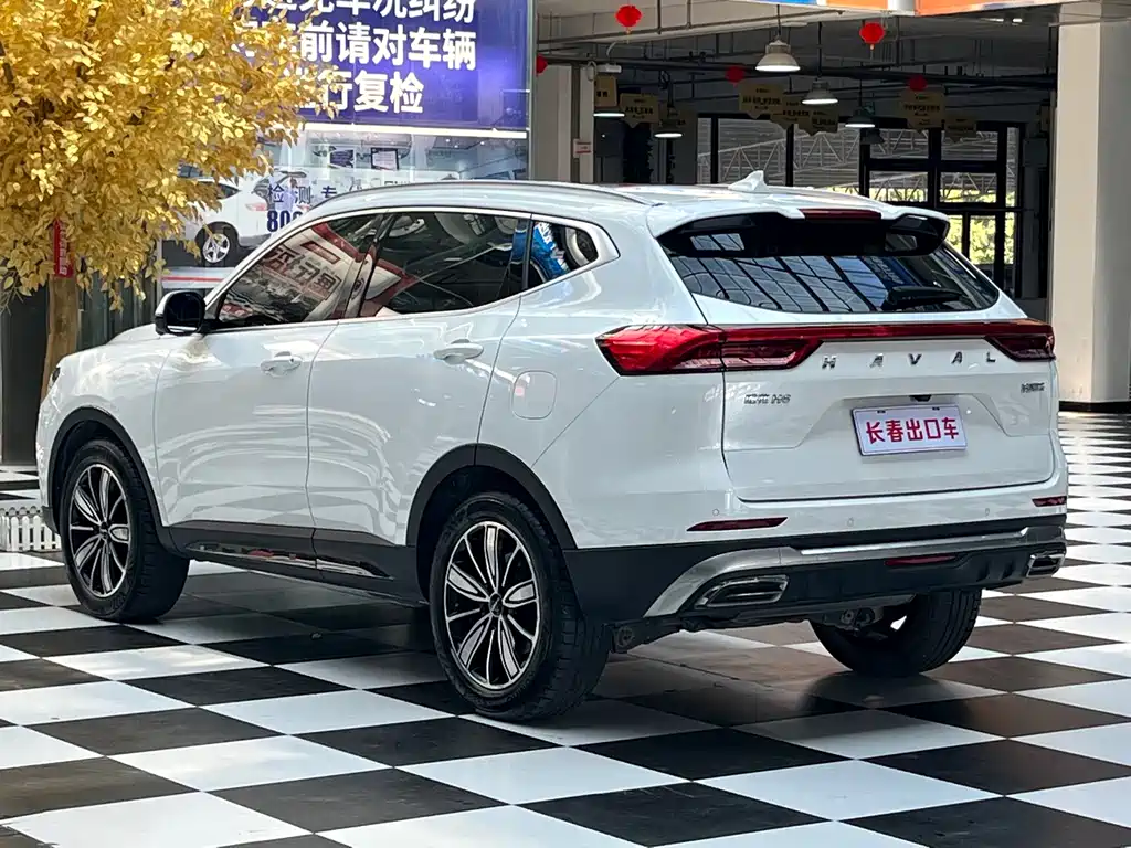 Haval H6 — миниатюра 4