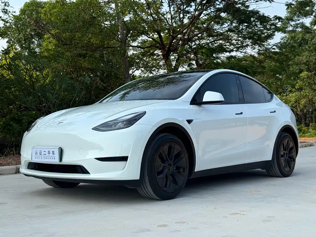 Tesla Model Y 2024 RWD Drive Dynamic Edition