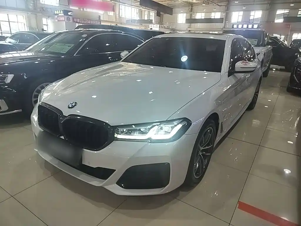 BMW 5 Series New Energy
