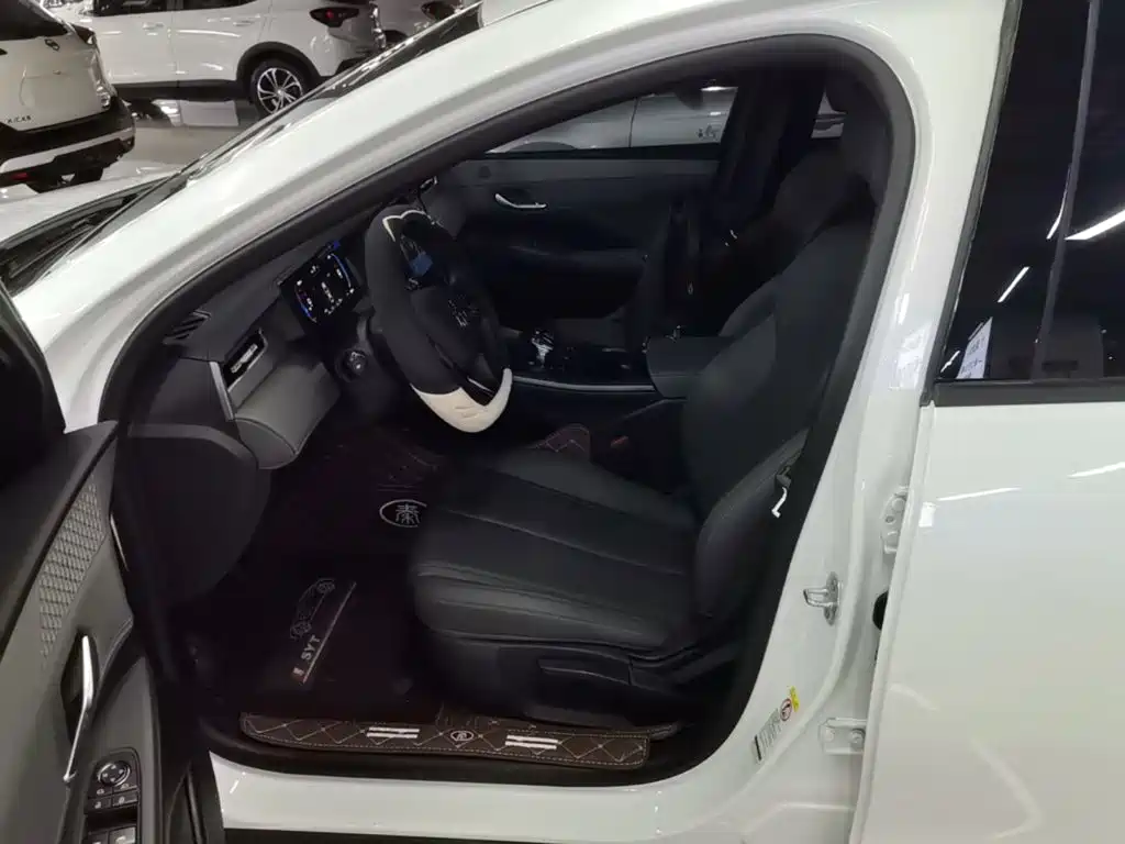 BYD Qin PLUS — миниатюра 15