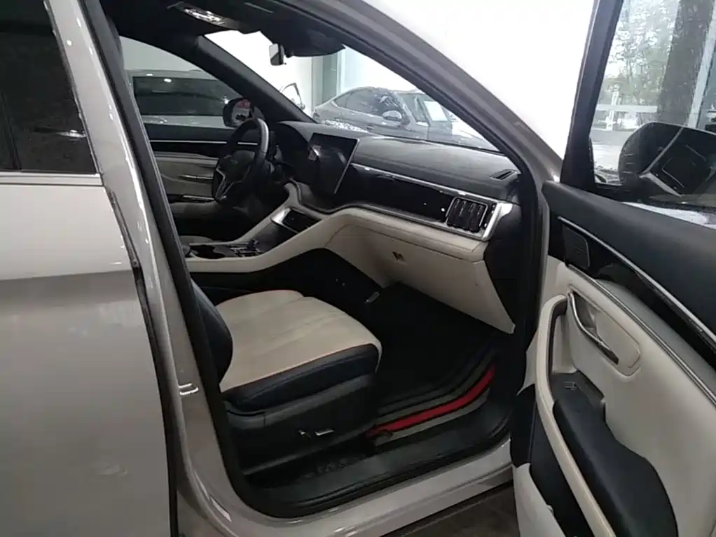 BYD PLUS New Energy — миниатюра 25