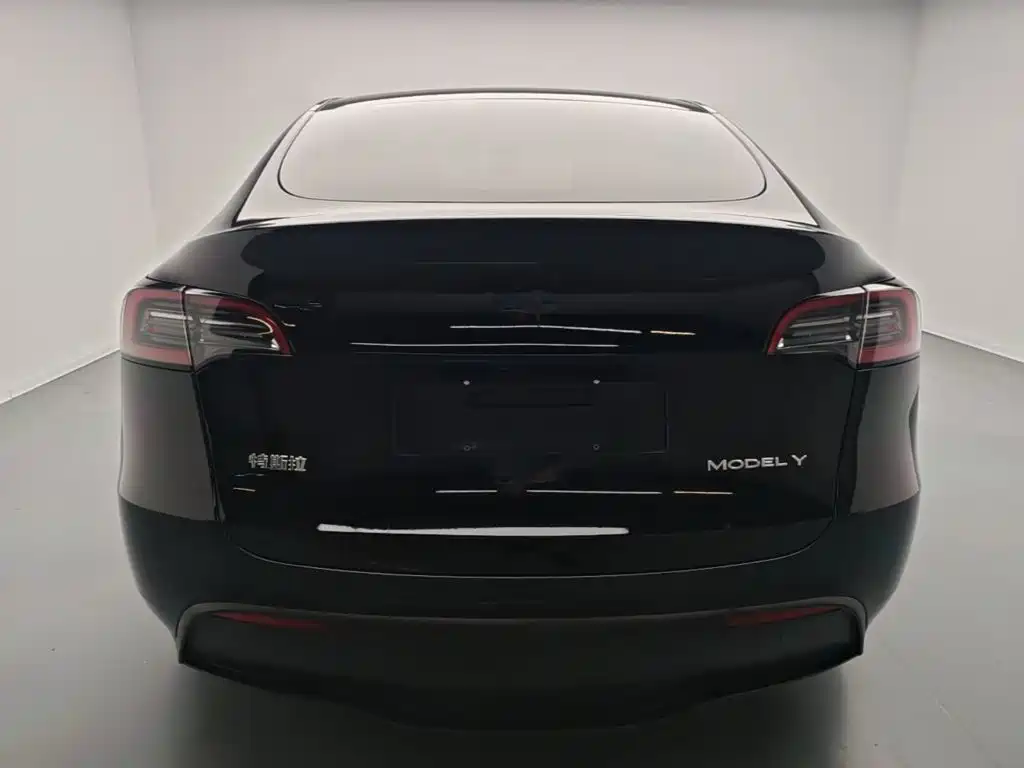 Tesla Model Y — миниатюра 6