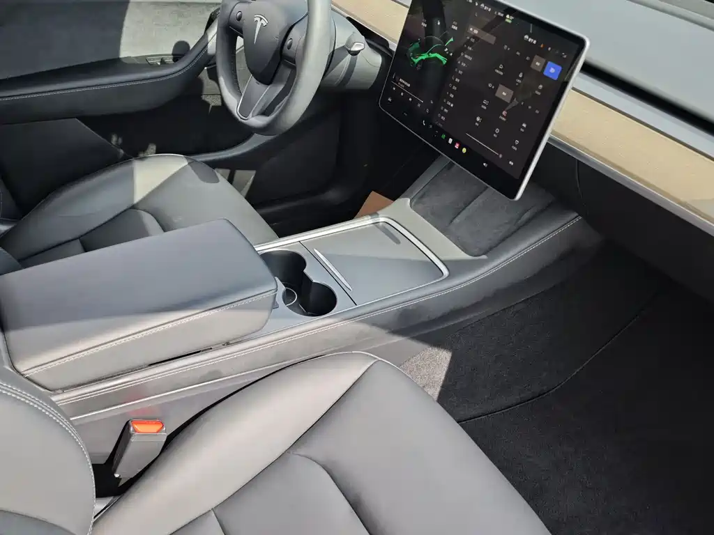Tesla Model Y — миниатюра 15