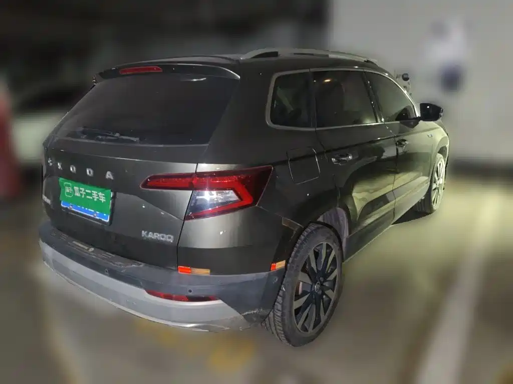Skoda Karoq — миниатюра 6