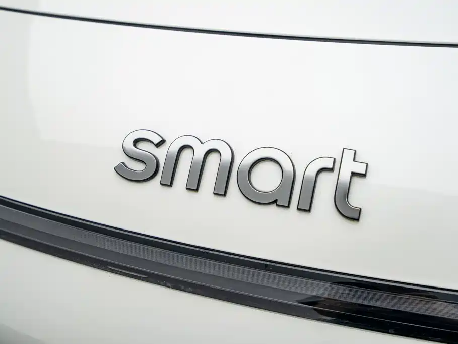 smart Smart #1 — миниатюра 20