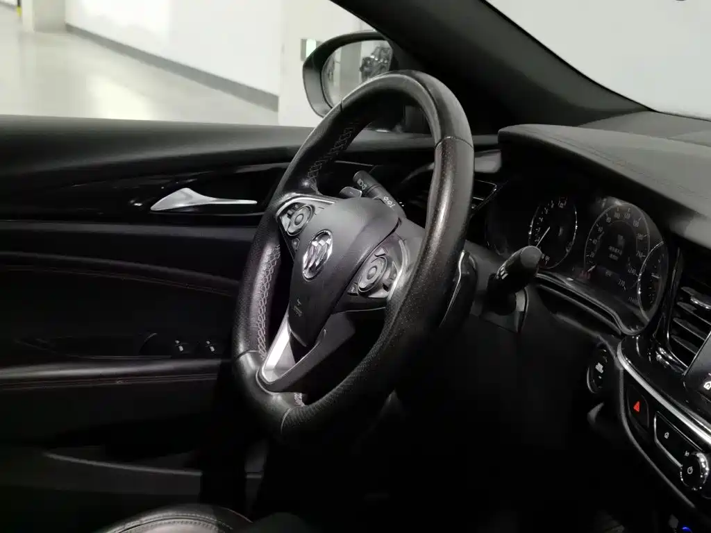 Buick Regal — миниатюра 22