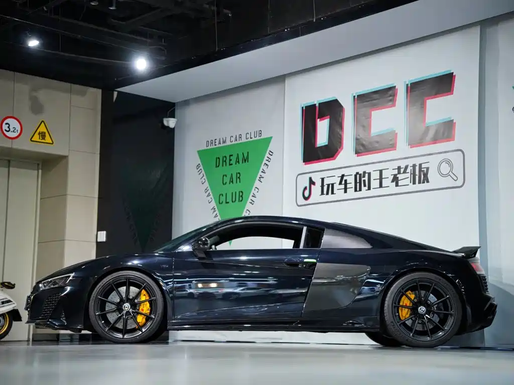 Audi R8 — миниатюра 52