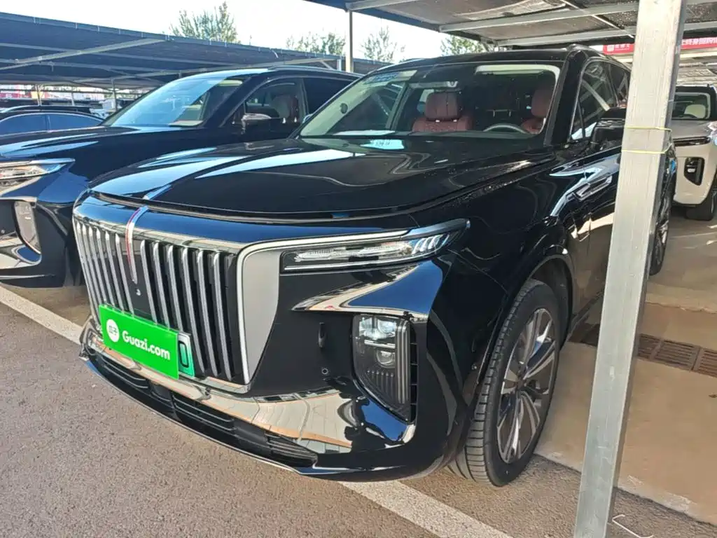 Hongqi Hongqi E-HS9