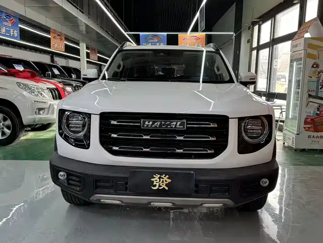 HAVAL BIG DOG