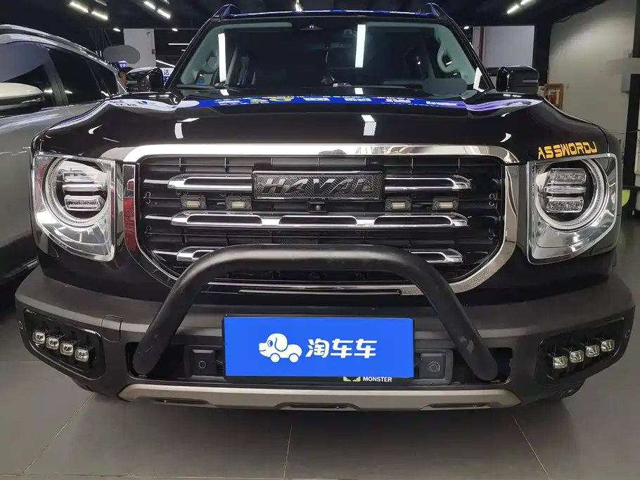 HAVAL BIG DOG