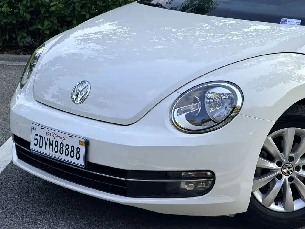 Volkswagen Beetle — миниатюра 21