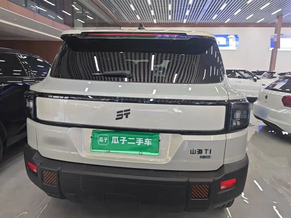 Shanhai Shanhai T1 — миниатюра 6