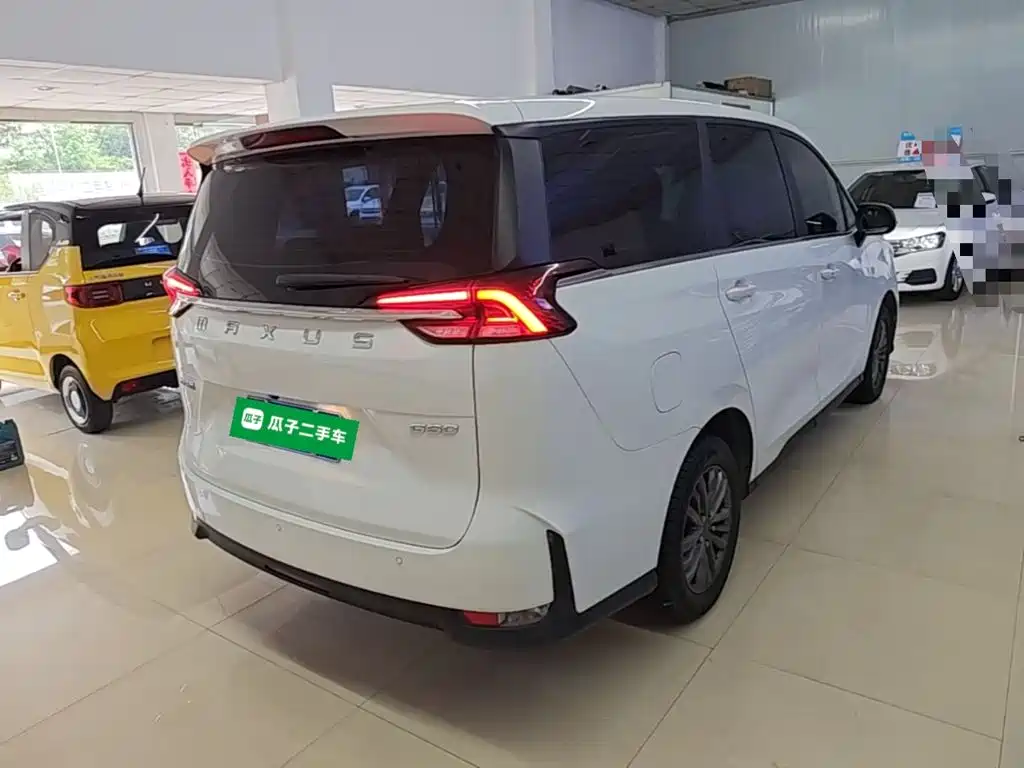 MAXUS G50 — миниатюра 7