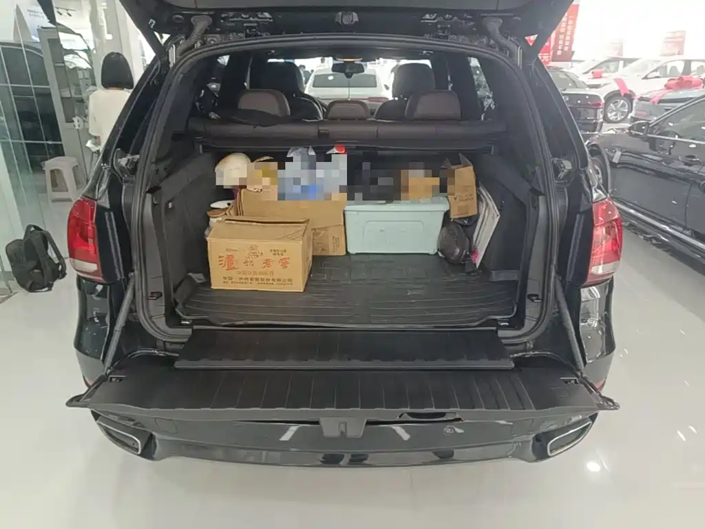 BMW X5 (Import) — миниатюра 19