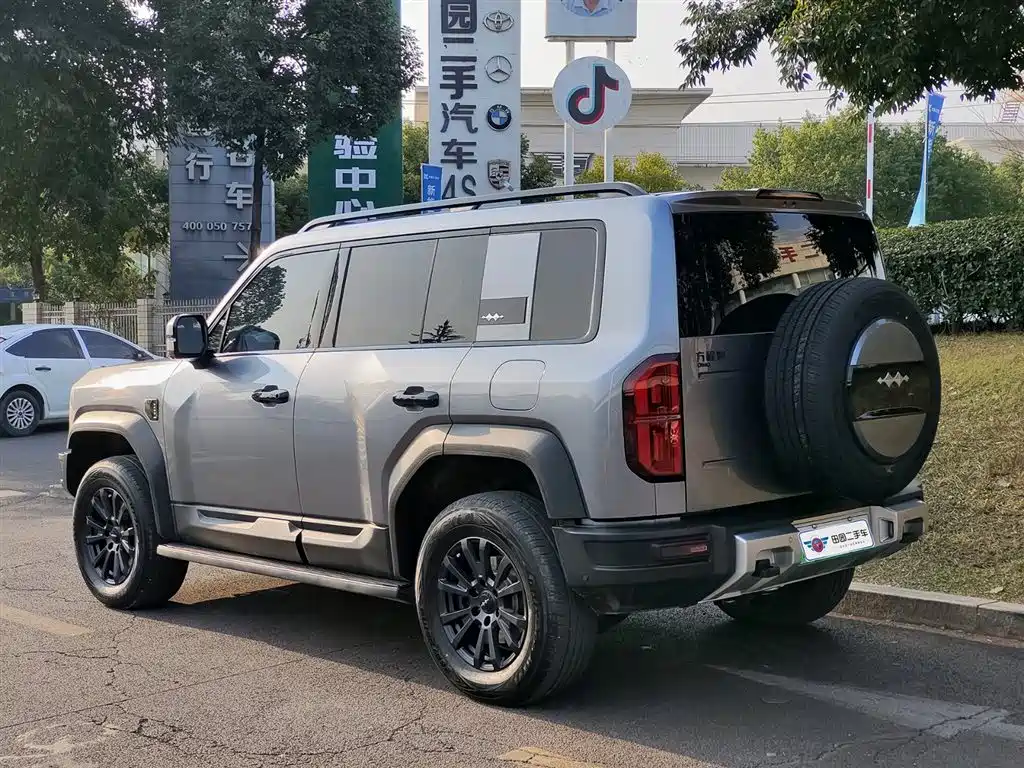 FANG CHENG BAO LEOPARD 5