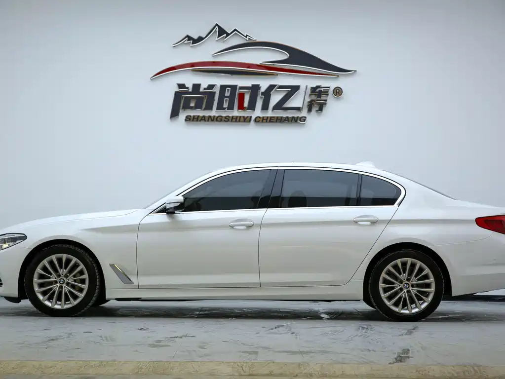 BMW 5 Series 5 2020 530Li Lead Luxury