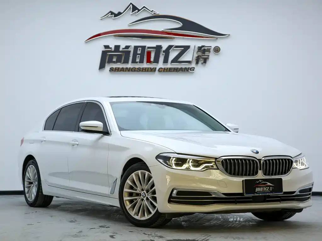 BMW 5 Series 5 2020 530Li Lead Luxury