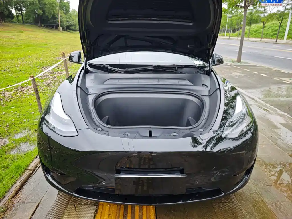 Tesla Model Y — миниатюра 13