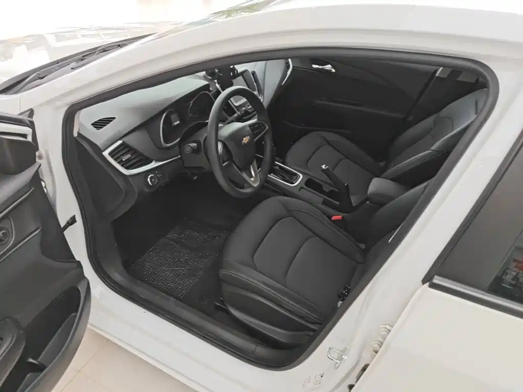 Chevrolet Cavalier — миниатюра 16