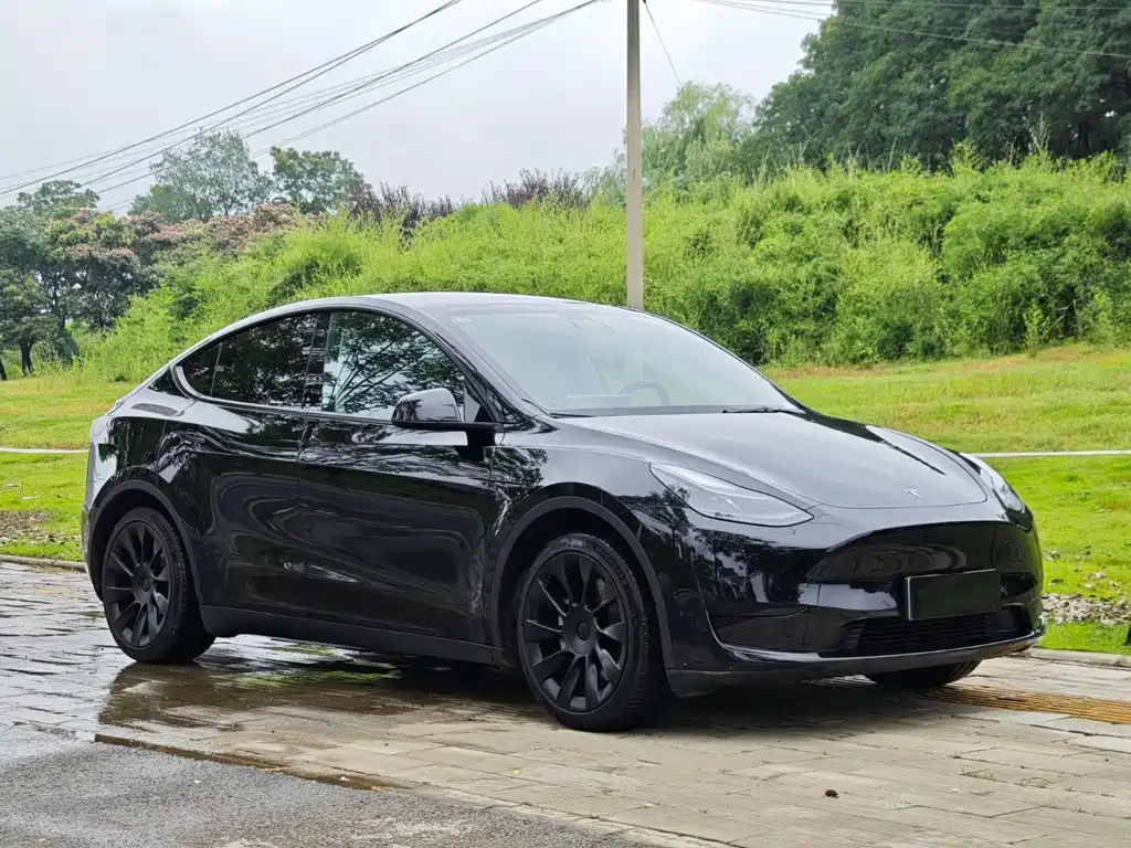 Tesla Model Y — миниатюра 2