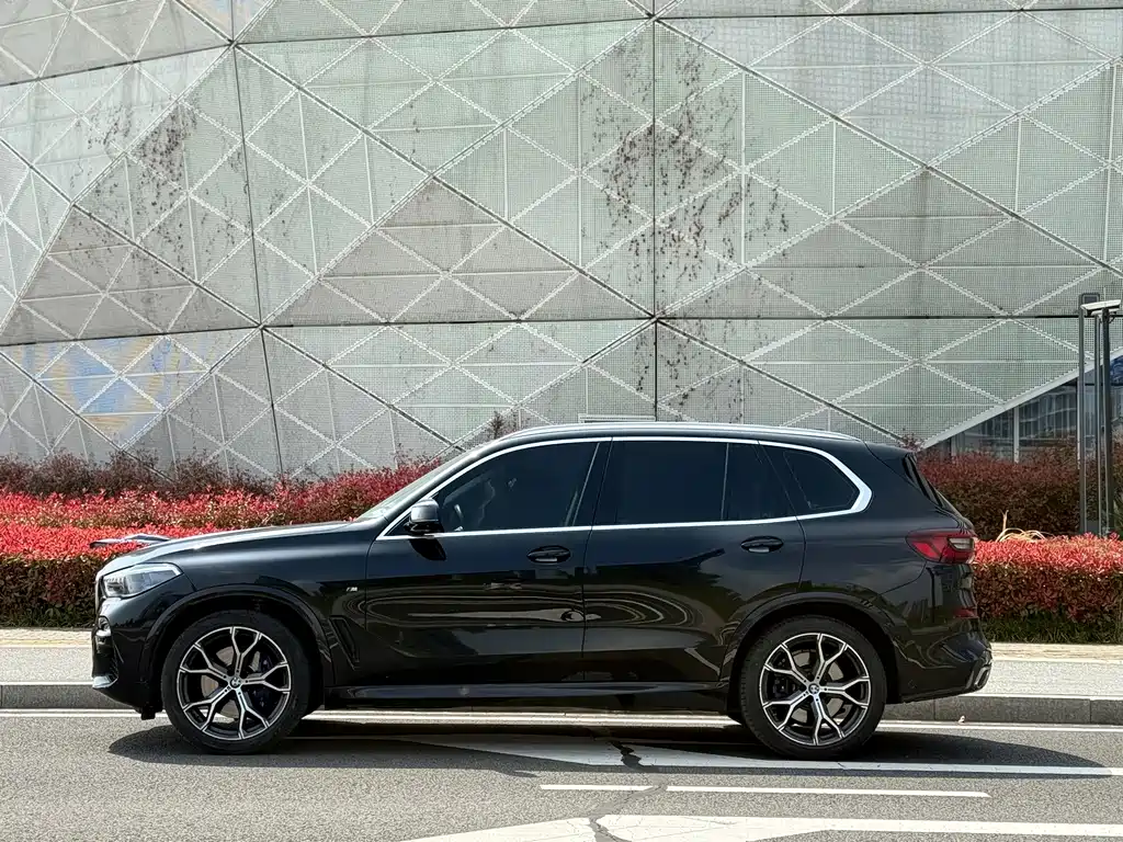 BMW X5 (Import) — миниатюра 5