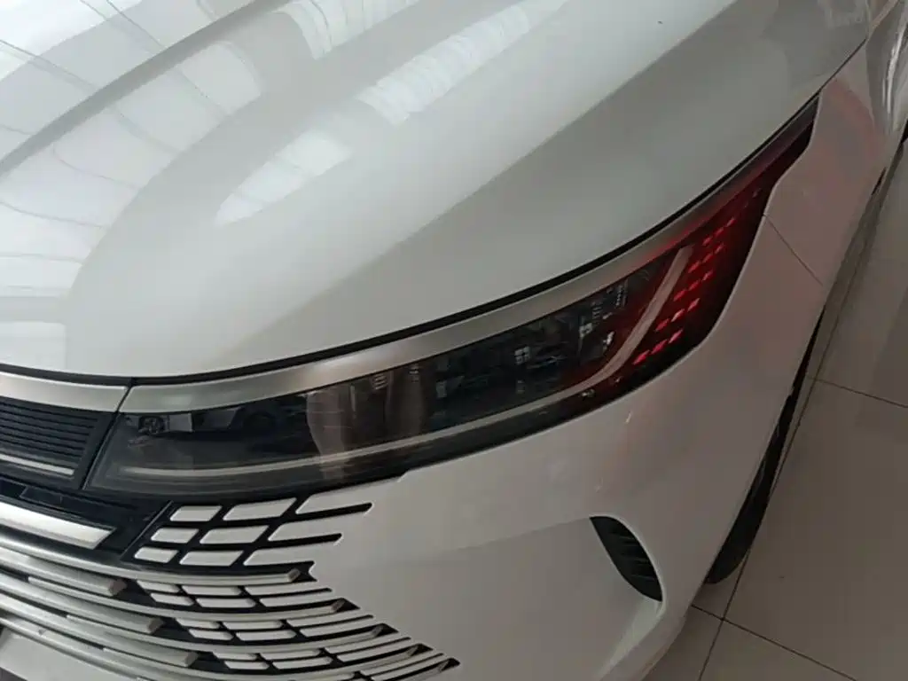 BYD Destroyer 05 — миниатюра 24