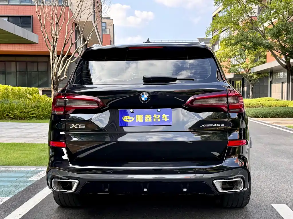 BMW X5 New Energy (Import) — миниатюра 6