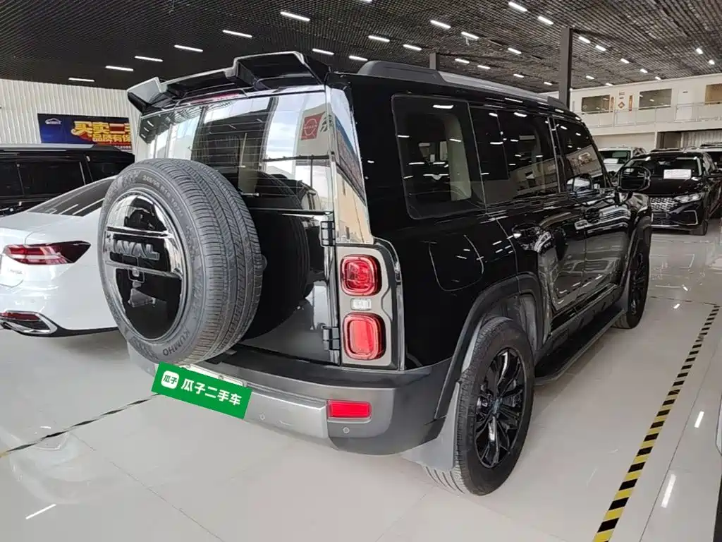 Haval Menglong New Energy — миниатюра 7