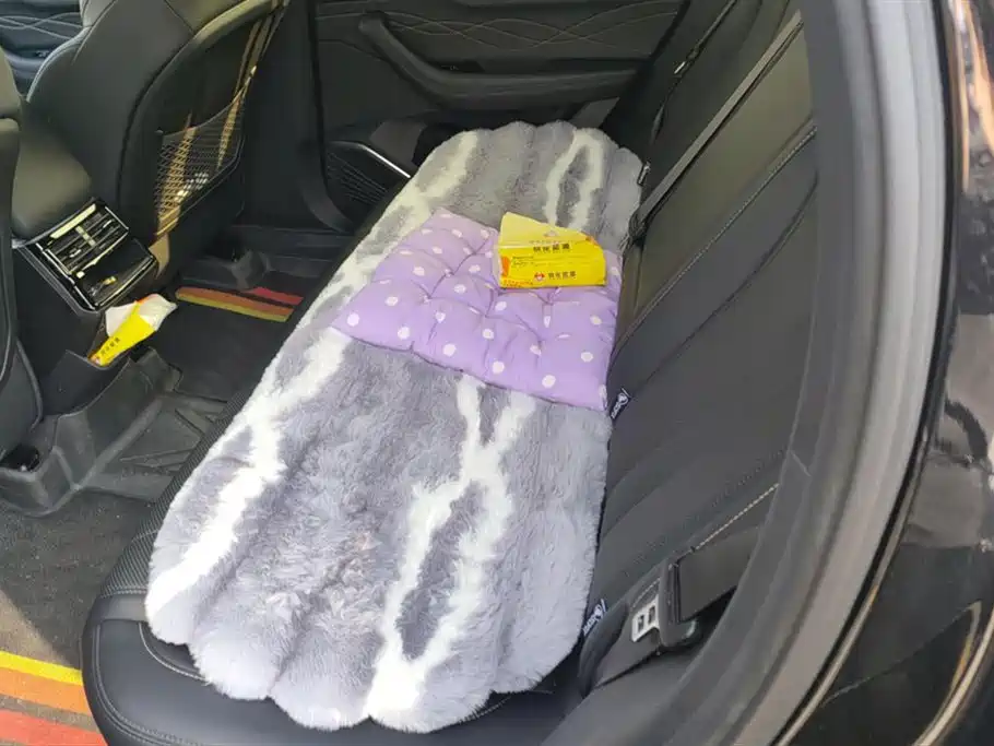 GEELY AUTOMOBILE XINGYUE L