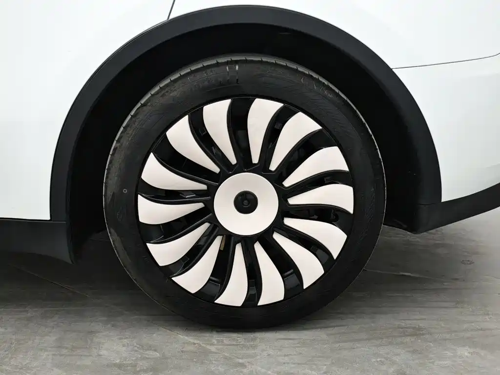 Tesla Model Y — миниатюра 9