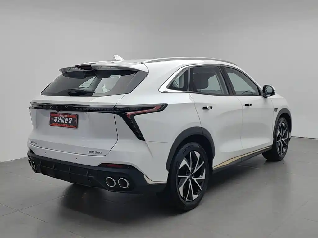 Cowin Kunlun — миниатюра 2
