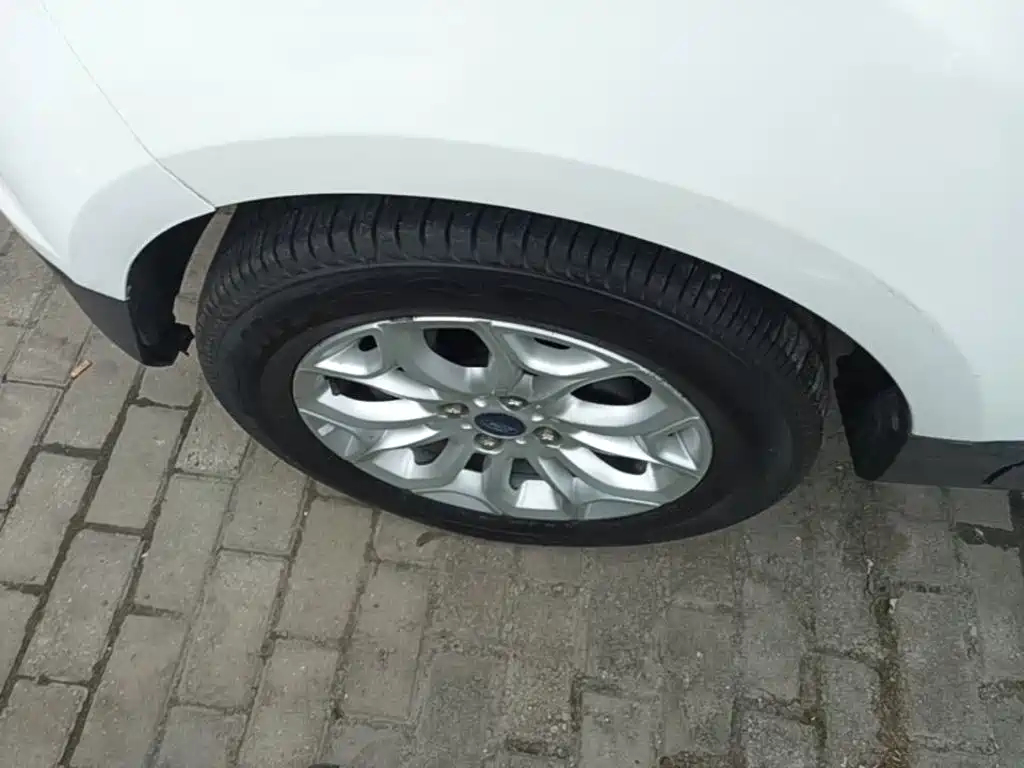 Ford Ecosport — миниатюра 23