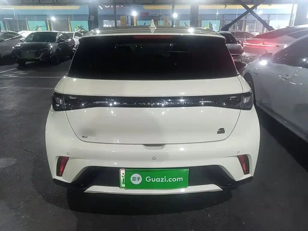BYD Dolphin — миниатюра 6