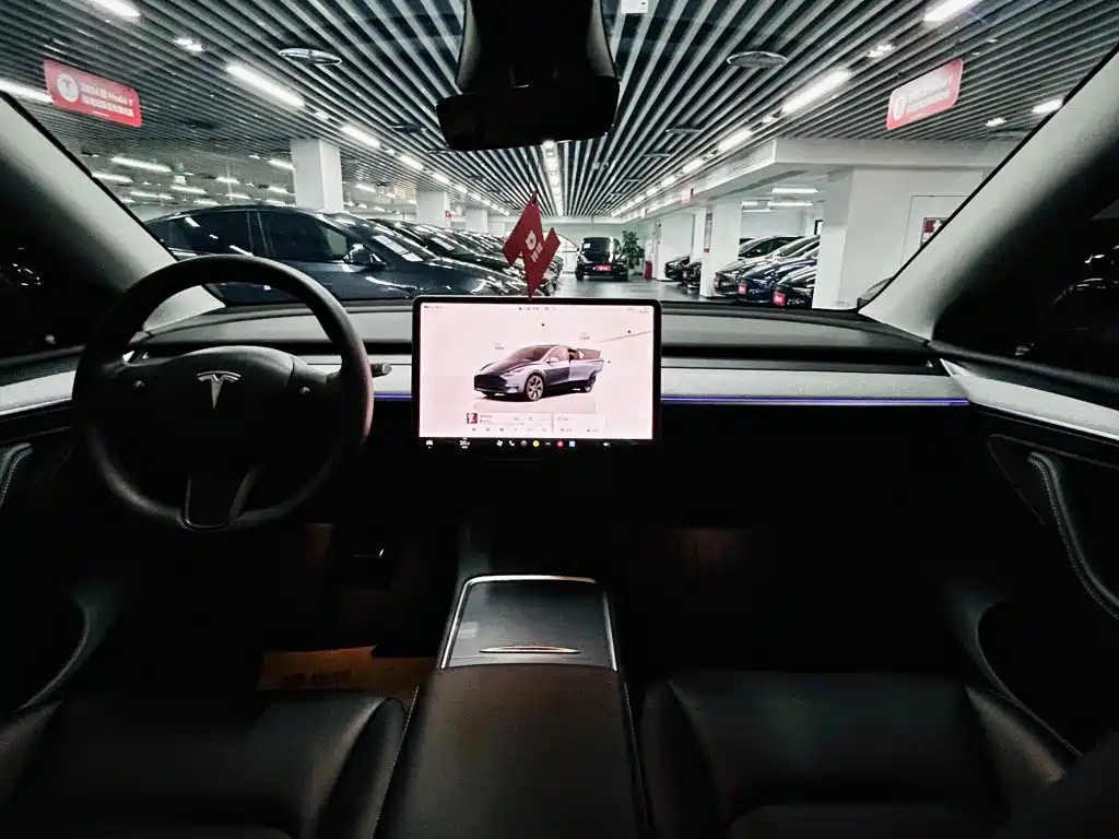 Tesla Model Y — миниатюра 8